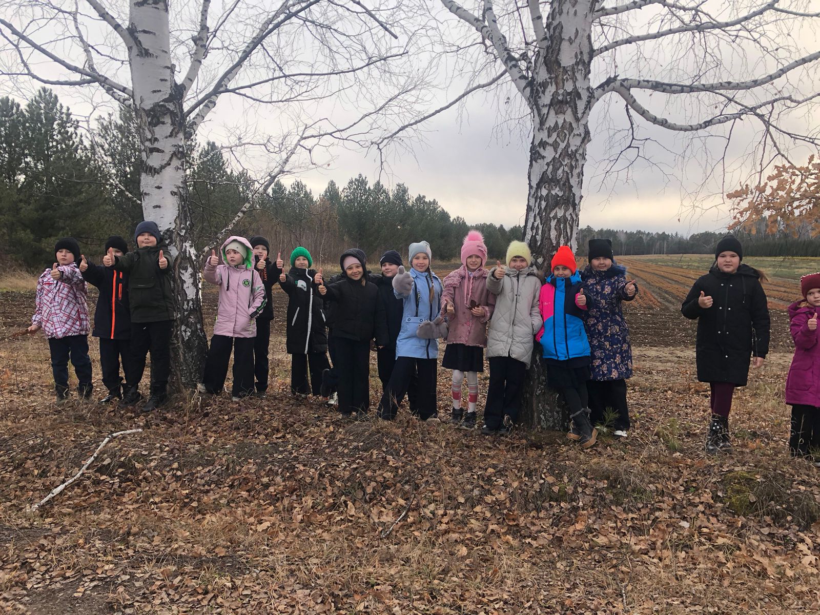 Экскурсия в лесной питомник.